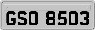 GSO8503