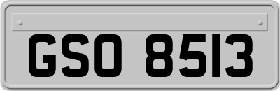 GSO8513