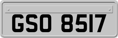 GSO8517