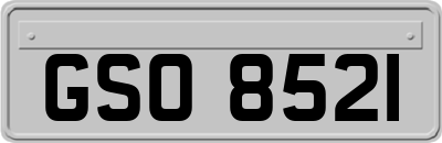 GSO8521