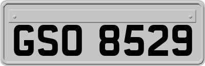 GSO8529