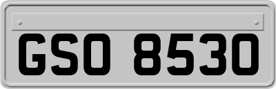 GSO8530