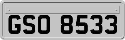 GSO8533