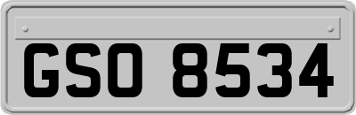 GSO8534