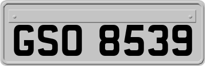 GSO8539