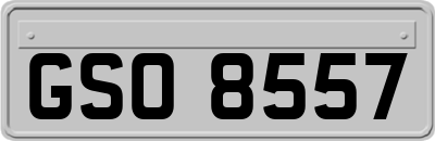 GSO8557