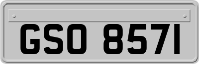GSO8571