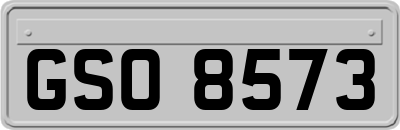 GSO8573
