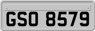 GSO8579