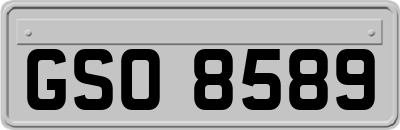 GSO8589