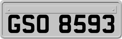 GSO8593