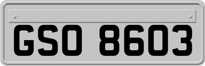 GSO8603