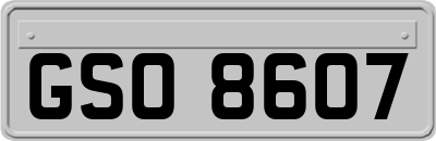 GSO8607
