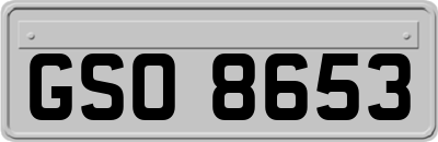 GSO8653