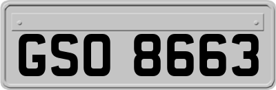 GSO8663