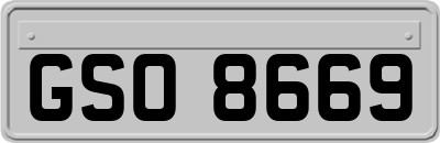 GSO8669