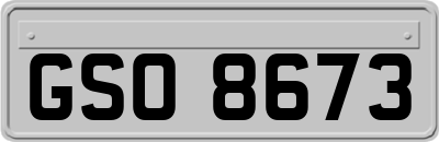 GSO8673
