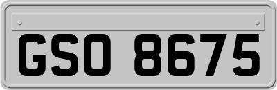 GSO8675