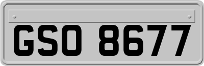 GSO8677