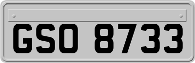 GSO8733