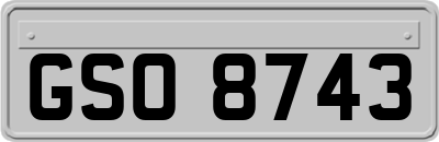 GSO8743