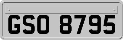 GSO8795