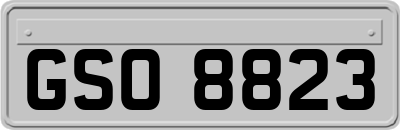 GSO8823