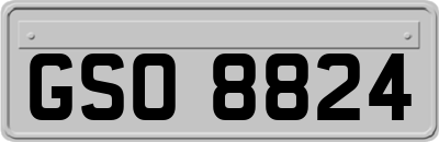 GSO8824