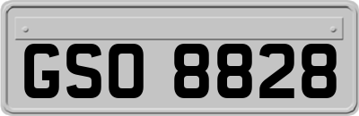 GSO8828
