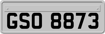GSO8873