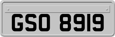 GSO8919
