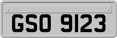 GSO9123