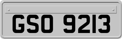 GSO9213