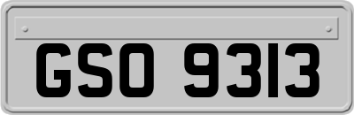 GSO9313