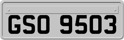 GSO9503