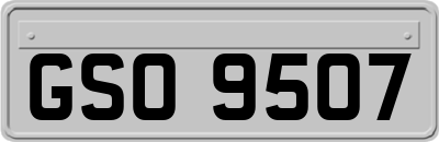 GSO9507