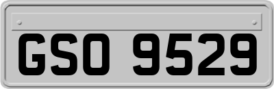 GSO9529