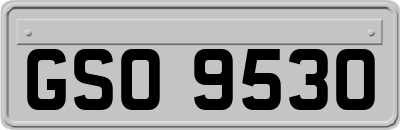 GSO9530