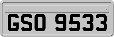 GSO9533