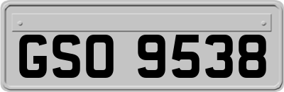 GSO9538