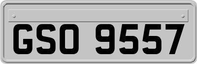 GSO9557