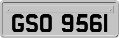 GSO9561