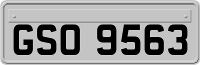 GSO9563
