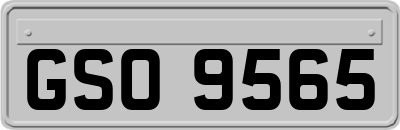 GSO9565