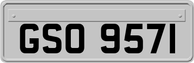 GSO9571
