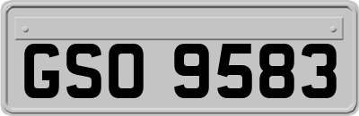 GSO9583
