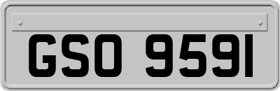 GSO9591
