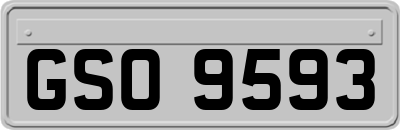 GSO9593