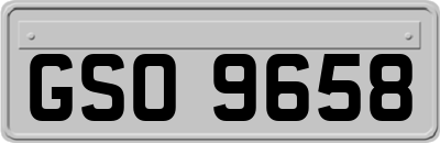 GSO9658