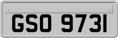 GSO9731